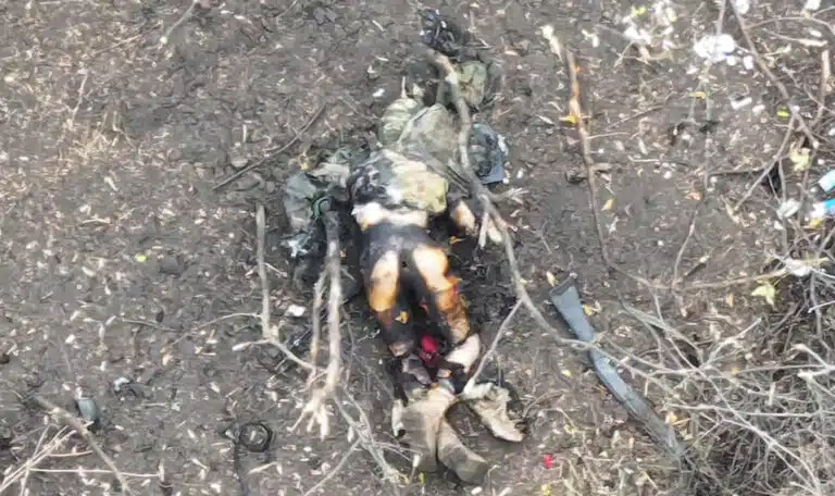 Втрати ворога на нашому напрямку у вересні