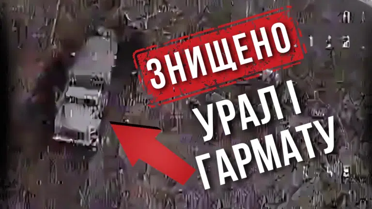 Велика здобич БУАР