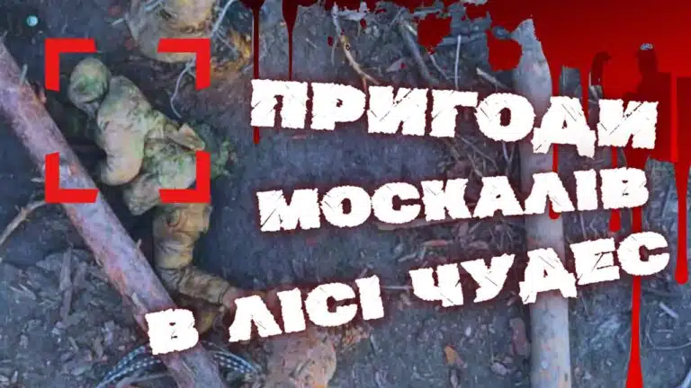 Ліквідація паразитів в Серебрянському лісі