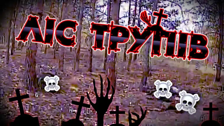 Що відбувається в Серебрянському лісі