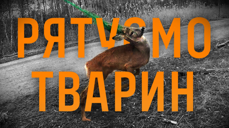 Рятуємо не лише людей, а й тварин